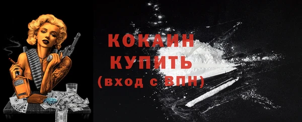 прущие грибы Медногорск