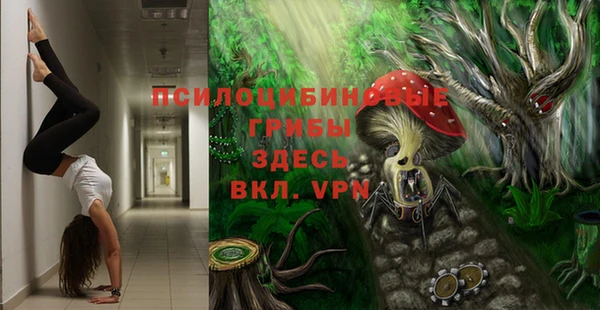 spice Алексеевка