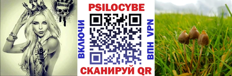 мега ссылки  Саранск  Псилоцибиновые грибы Psilocybine cubensis 